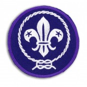 Scout Badges (16)